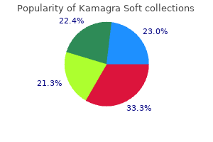 generic 100mg kamagra soft overnight delivery